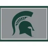 Michigan State University Area Rug, 3x4