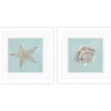 Ocean Seashells II Framed Art Prints, Set of 2
