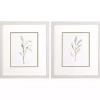 Olive Leaves Framed Art Prints, Set of 2
