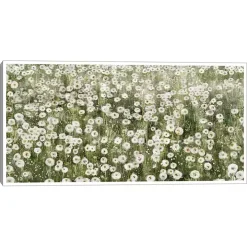 One Hundred Wishes Framed Canvas Art Print