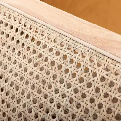 Orange Rattan Accent Chair