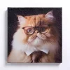 Pippa the Cat Canvas Art Print