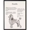 Poodle Facts Framed Wall Plaque