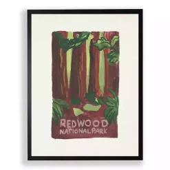 Redwood National Park Framed Art Print