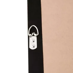 Sand Dollar Rice Paper Shadowbox Wall Plaque