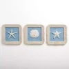 Seashell Rope Trim Wall Plaques, Set of 3
