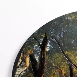 Sunset Greenway Arched Canvas Art Print