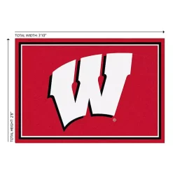 University of Wisconsin Area Rug, 3x4