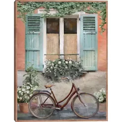 Velo de Montpellier Framed Canvas Art Print