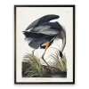 Vintage Blue Heron Bookplate Framed Art Print
