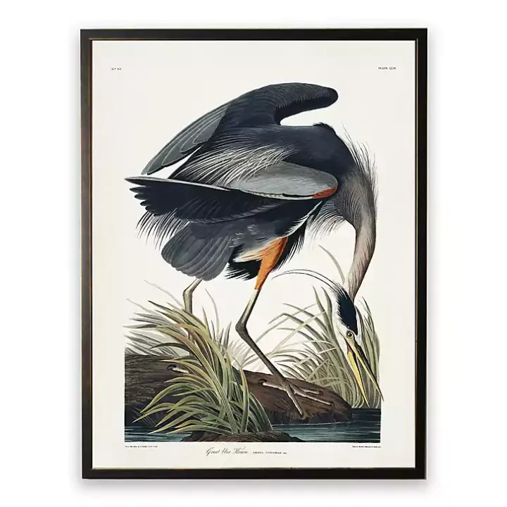 Vintage Blue Heron Bookplate Framed Art Print