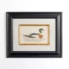 Vintage Duck Framed Art Print