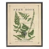 Vintage Fern II Framed Art Print