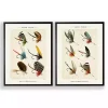 Vintage Fishing Lures Framed Art Prints, Set of 2