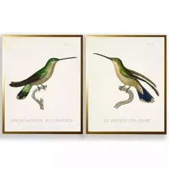 Vintage Hummingbird II 2-pc. Framed Art Print Set