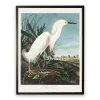 Vintage White Egret Bookplate Framed Art Print