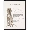 Weimaraner Facts Framed Wall Plaque