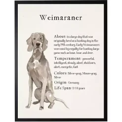Weimaraner Facts Framed Wall Plaque