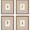 Western Wildflower Framed Art Prints, Set of