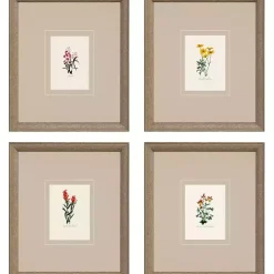 Western Wildflower Framed Art Prints, Set of