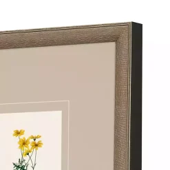 Western Wildflower Framed Art Prints, Set of