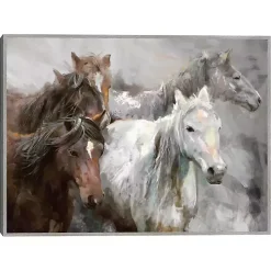 Wild Ride Framed Canvas Art Print
