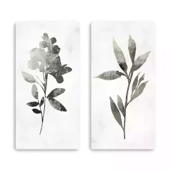 A Shadow of a Flower 2-pc. Canvas Art Set