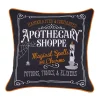 Apothecary Shoppe Halloween Pillow