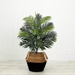 Areca Palm Tree in Woven Basket DIY Kit, 3 ft.