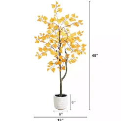 Autumn Birch Tree in Decorative Planter, 4 ft.