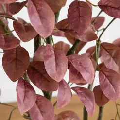 Autumn Dogwood Tree in Decorative Planter, 6 ft.
