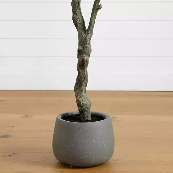 Autumn Dogwood Tree in Decorative Planter, 6 ft.