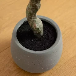 Autumn Dogwood Tree in Decorative Planter, 6 ft.