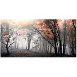 Autumn Woods Giclee Canvas Art Print