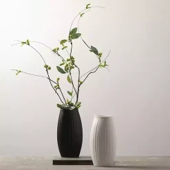 Black Modern Ribbed Ceramic Vase