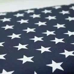 Blue & White Stars Outdoor Seat Cushions, Set of 2