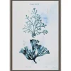 Blue Bay Coral Framed Canvas Art Print