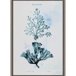 Blue Bay Coral Framed Canvas Art Print
