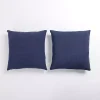 Blue Chenille Pillows, Set of 2