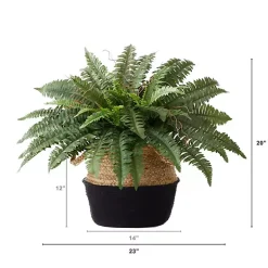 Boston Fern Arrangement in Woven Basket DIY Kit