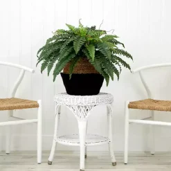 Boston Fern Arrangement in Woven Basket DIY Kit