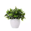 Boxwood Arrangement in White Planter