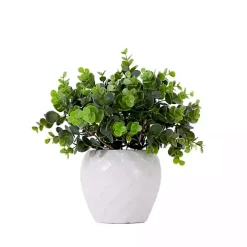 Boxwood Arrangement in White Planter