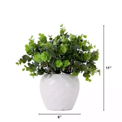 Boxwood Arrangement in White Planter