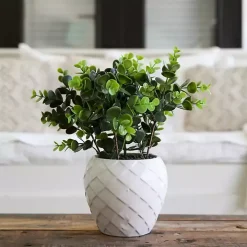 Boxwood Arrangement in White Planter