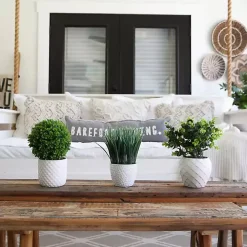 Boxwood Arrangement in White Planter