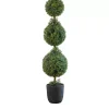 Boxwood Triple Topiary in Decorative Black Pot