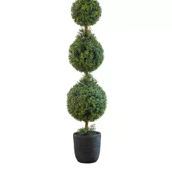 Boxwood Triple Topiary in Decorative Black Pot