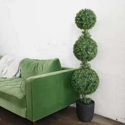 Boxwood Triple Topiary in Decorative Black Pot