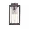 Bronze Open Seeded Glass Outdoor Sconce